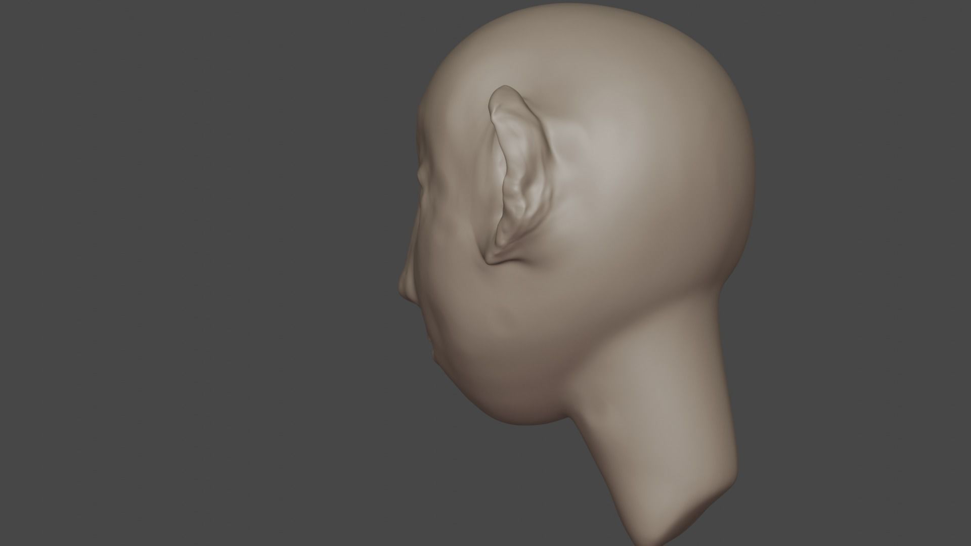 HeadModel 3D model_4
