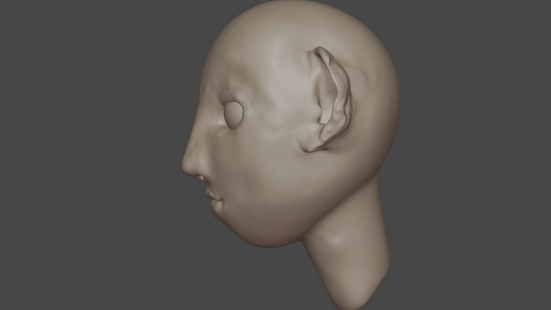 HeadModel 3D model_5
