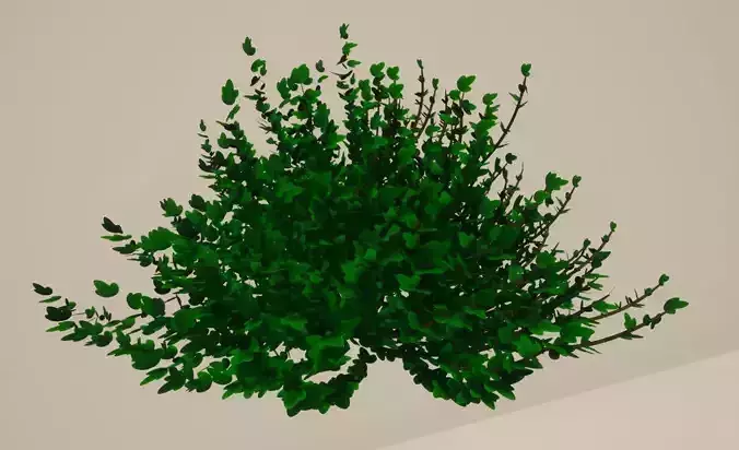 Stylized Shrubs