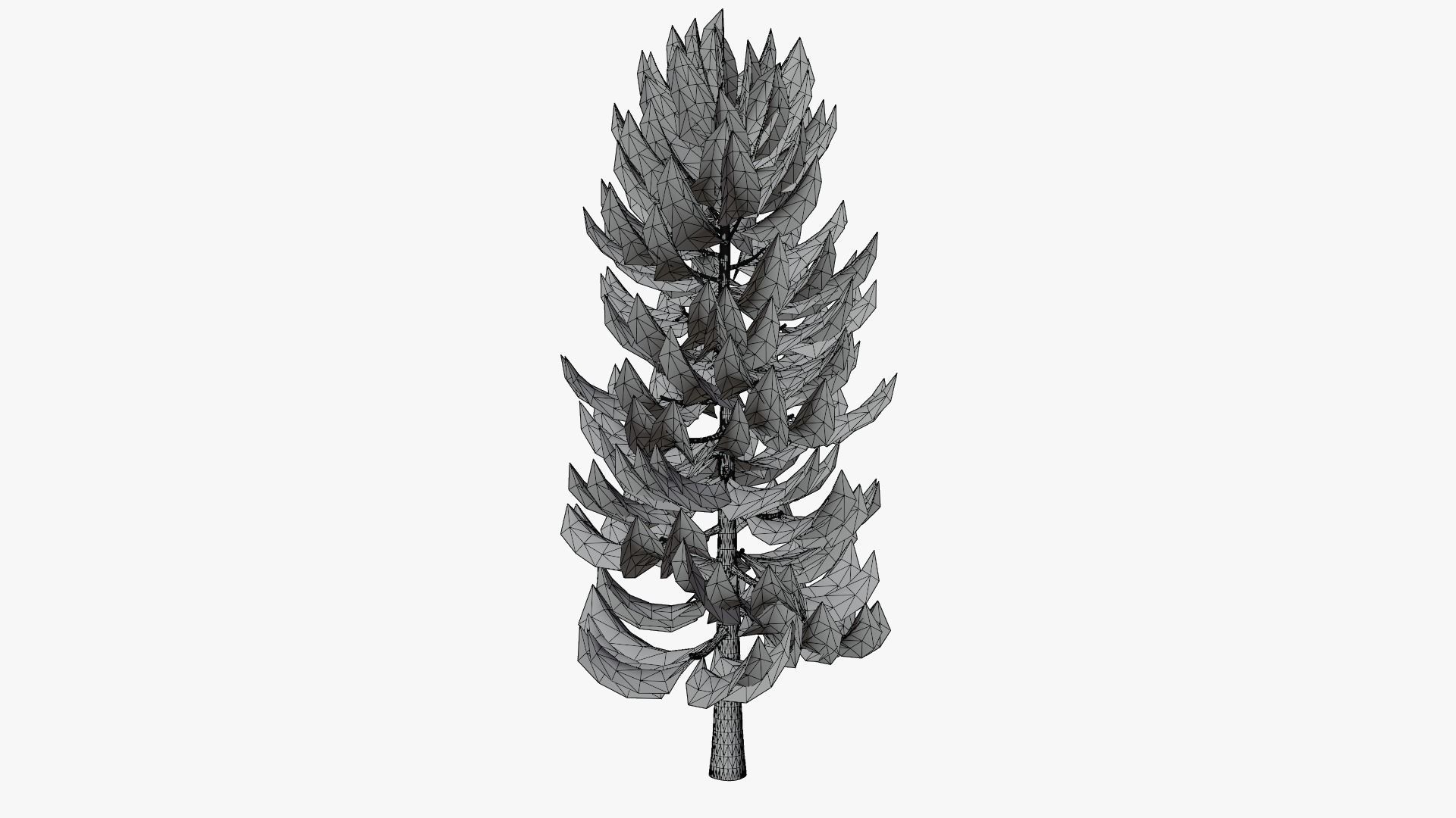 Pine v4 Low-poly 3D model_6