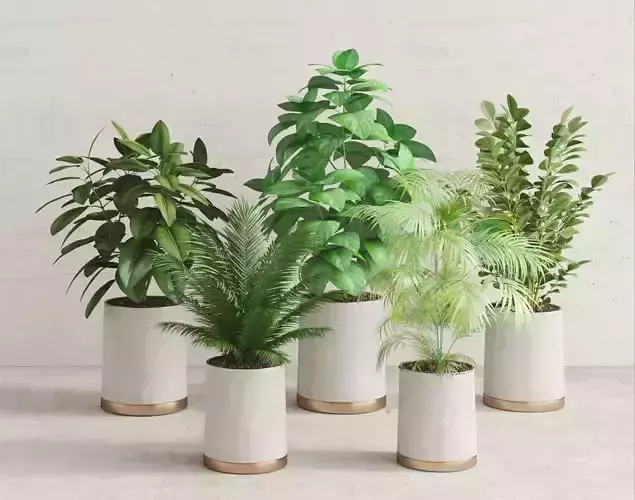 potted Modern green combination plant 3D model