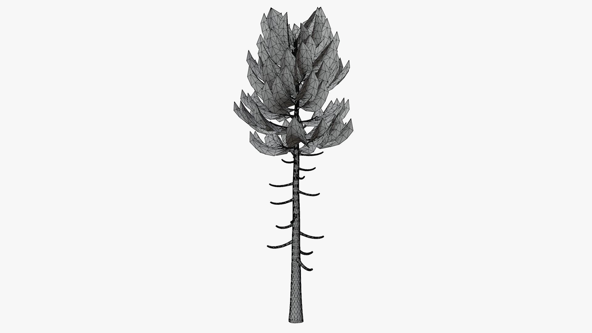 Pine v6 Low-poly 3D model_7