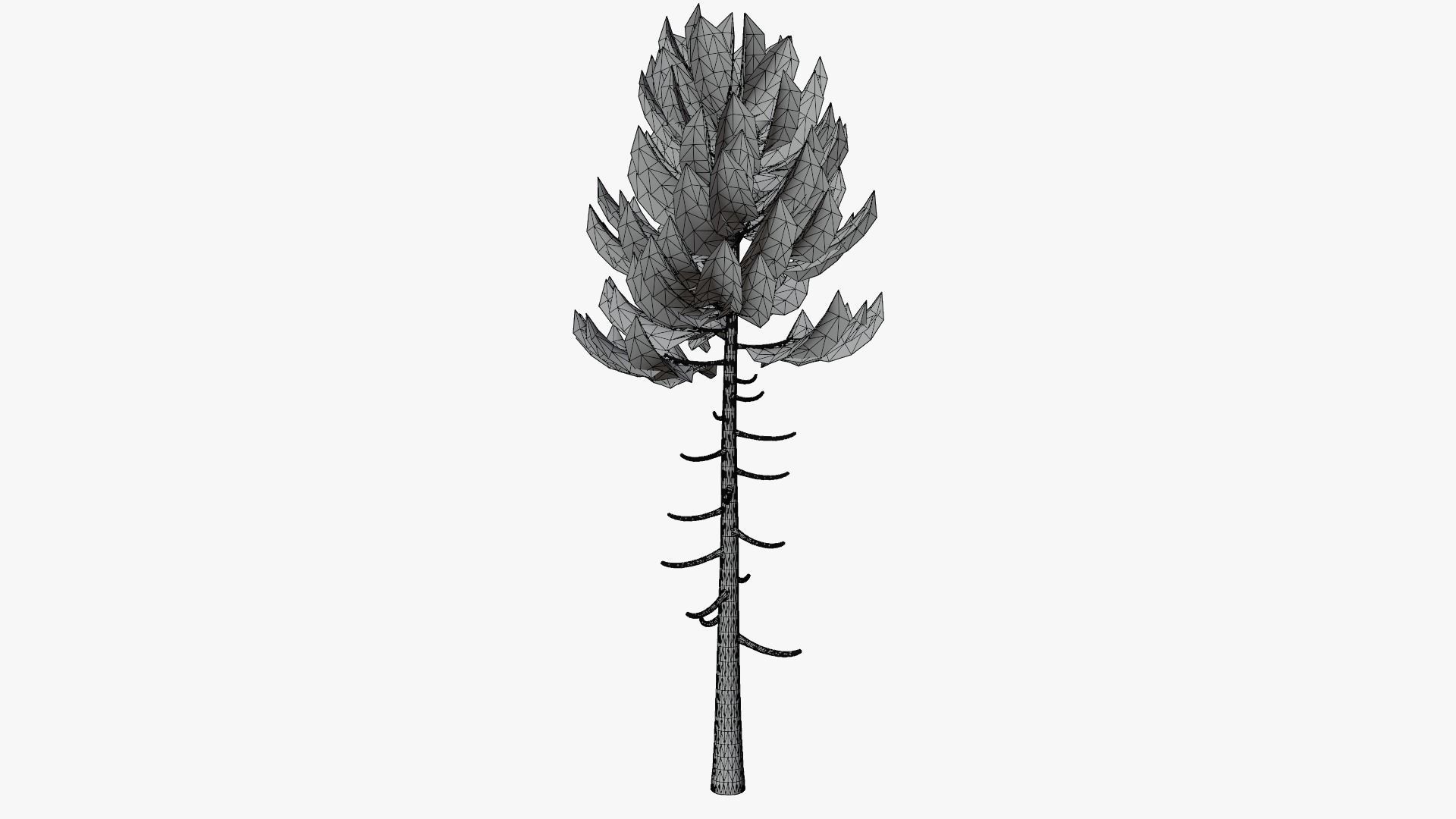 Pine v6 Low-poly 3D model_8