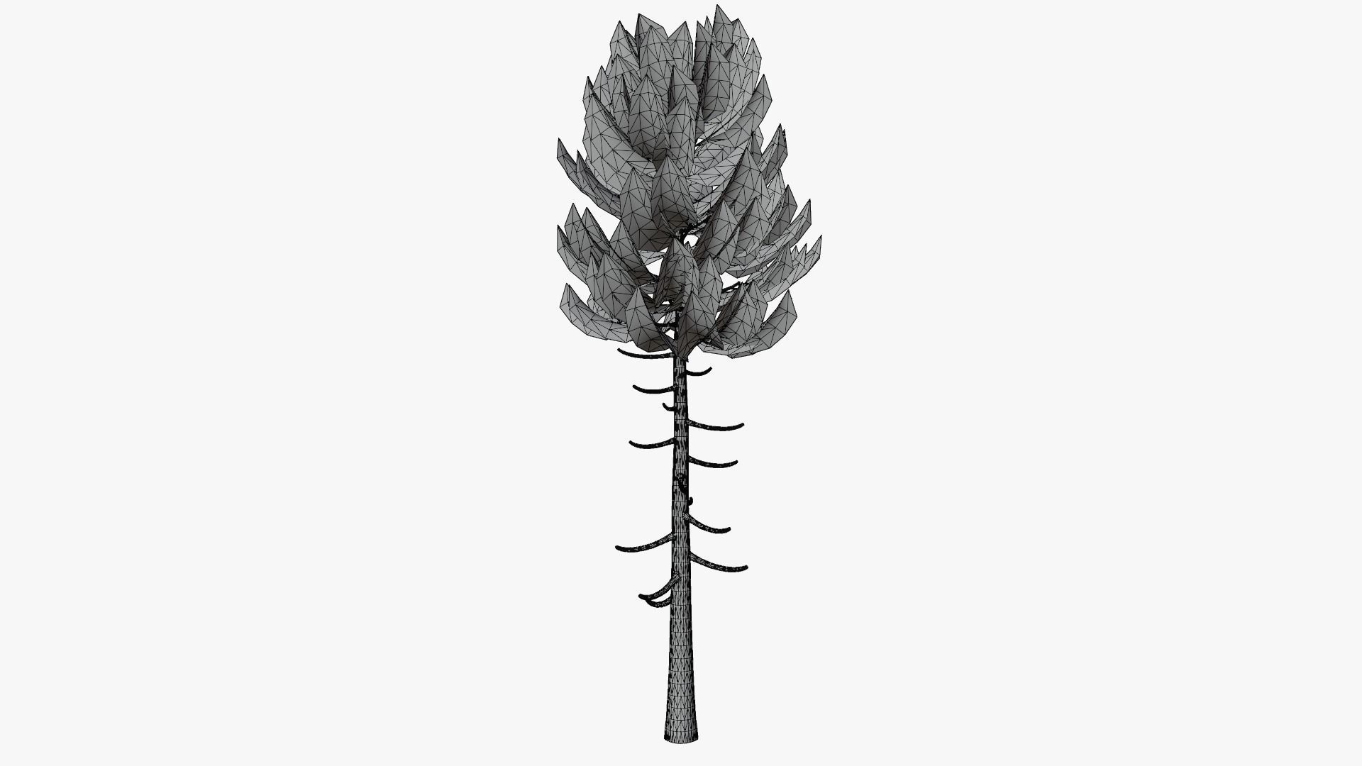 Pine v6 Low-poly 3D model_10