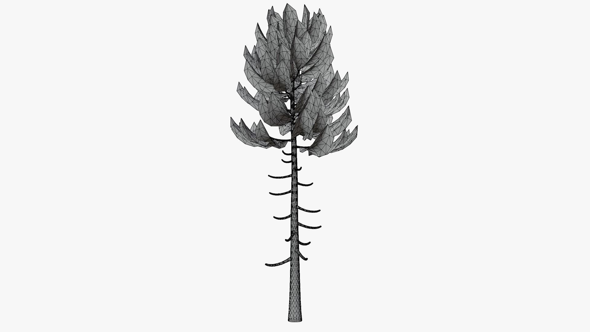 Pine v6 Low-poly 3D model_11