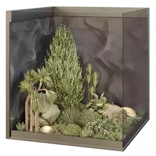 HQ Plants Indoor Set Box Glass01