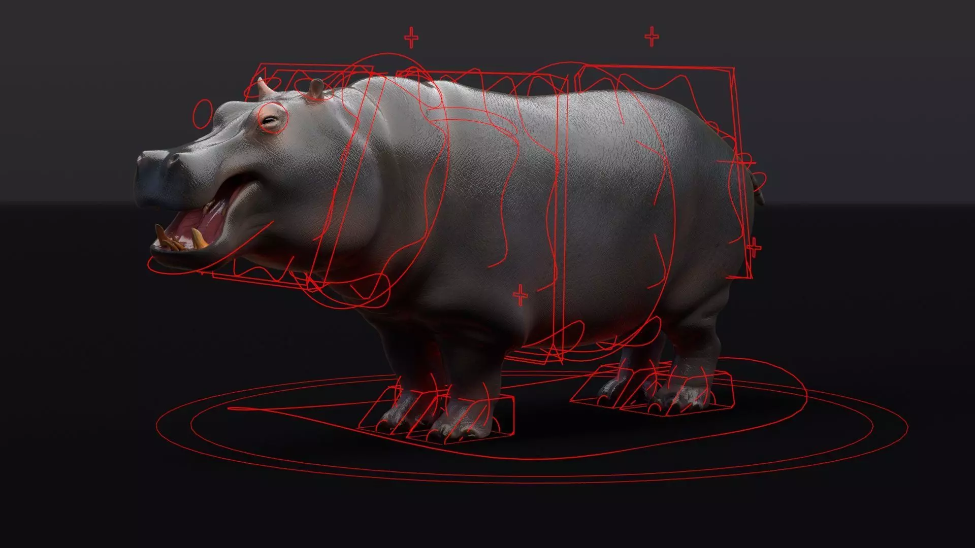Hippopotamus 3D model_0