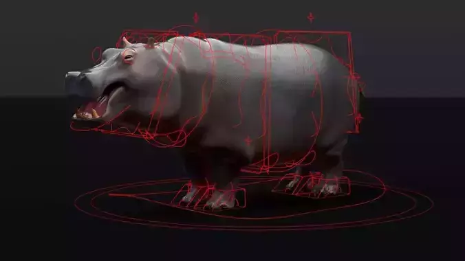 Hippopotamus 3D model