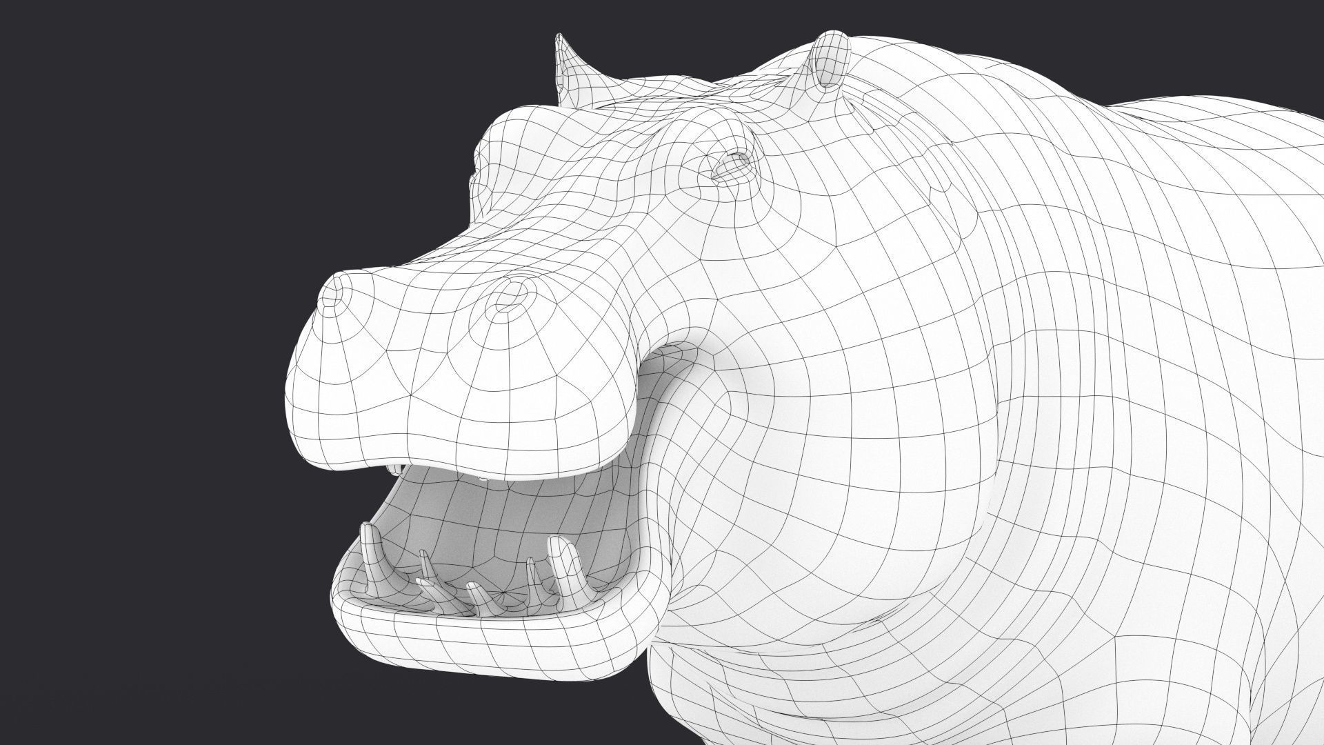 Hippopotamus 3D model_22
