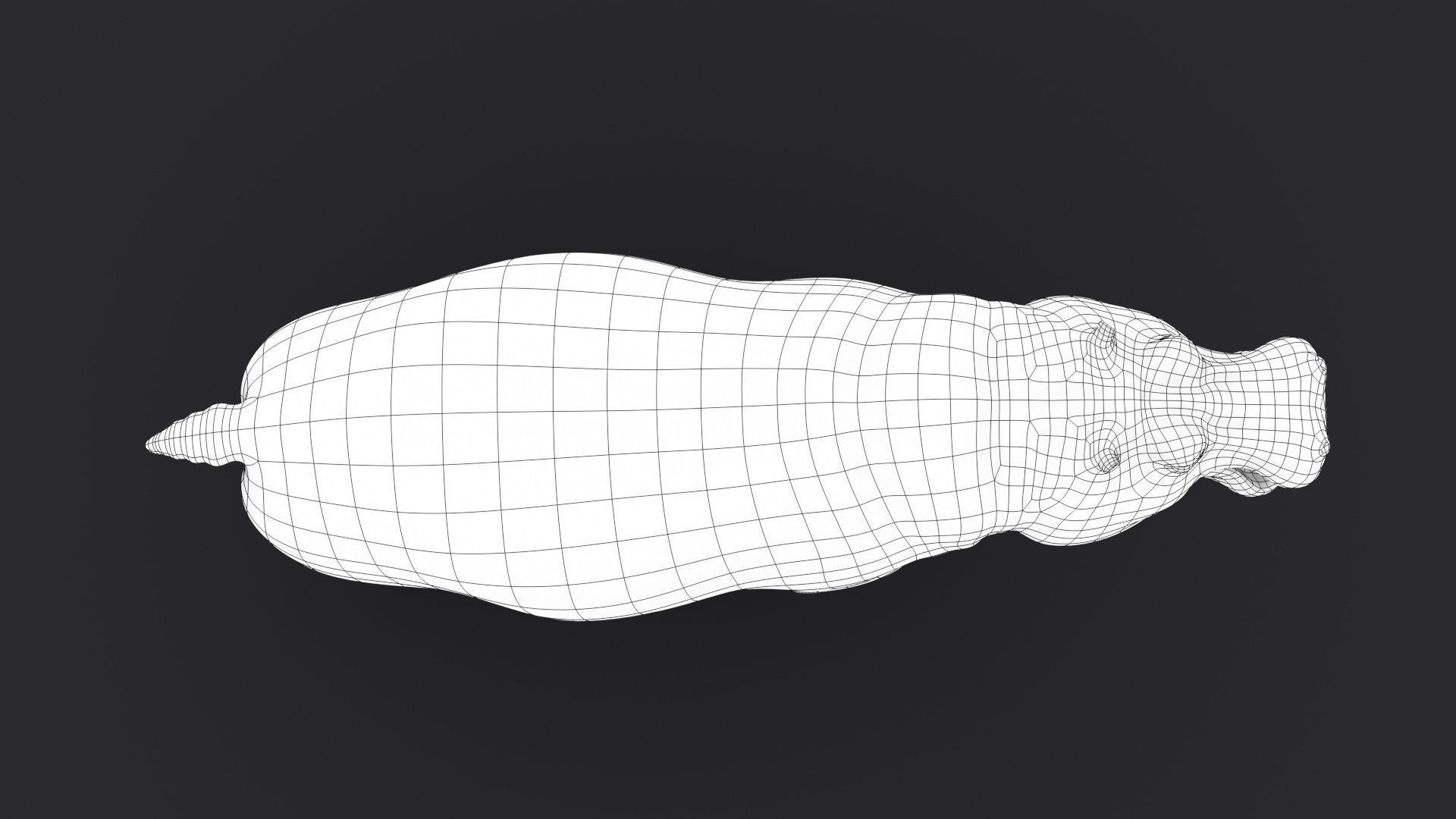 Hippopotamus 3D model_19