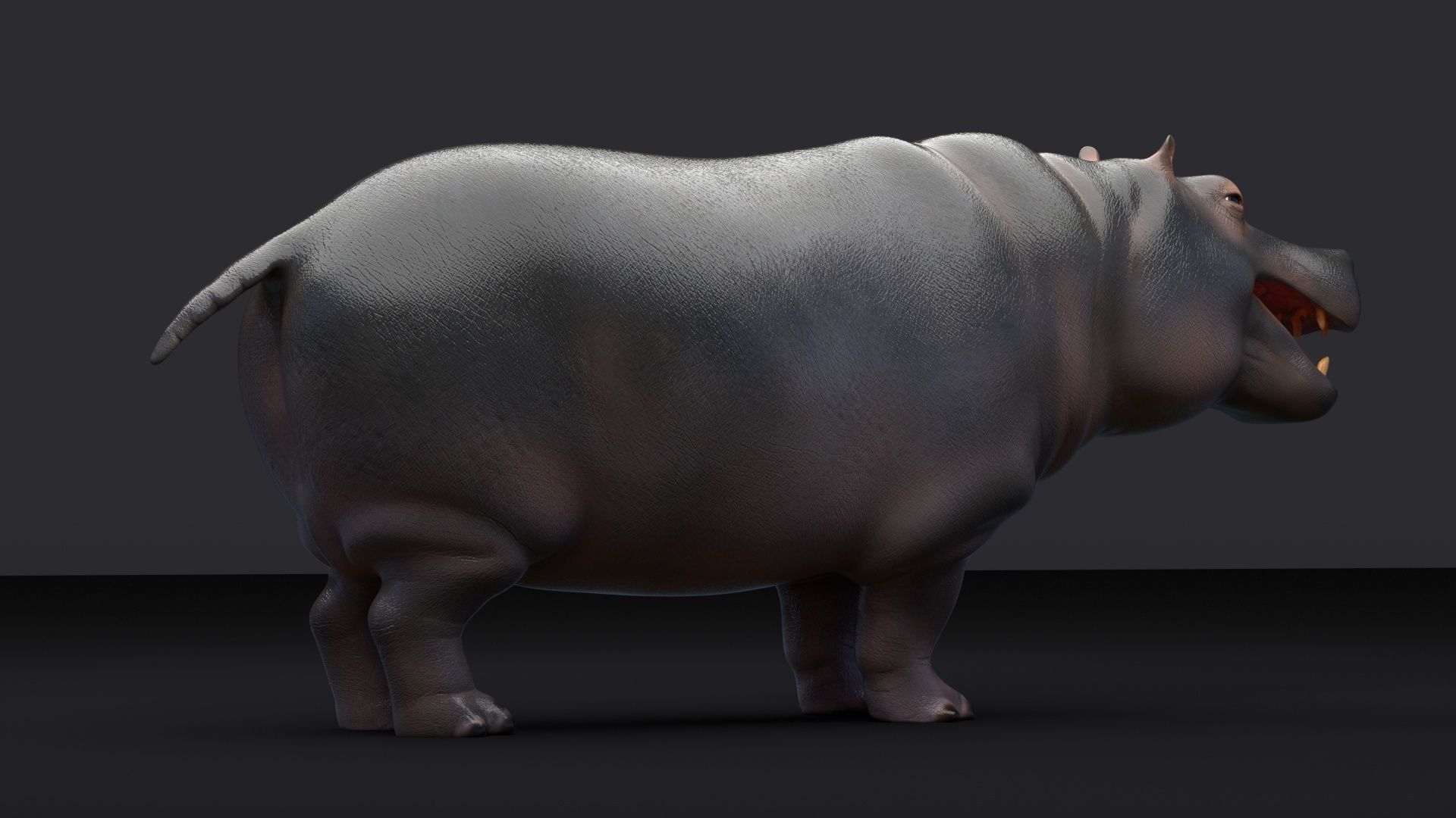 Hippopotamus 3D model_30