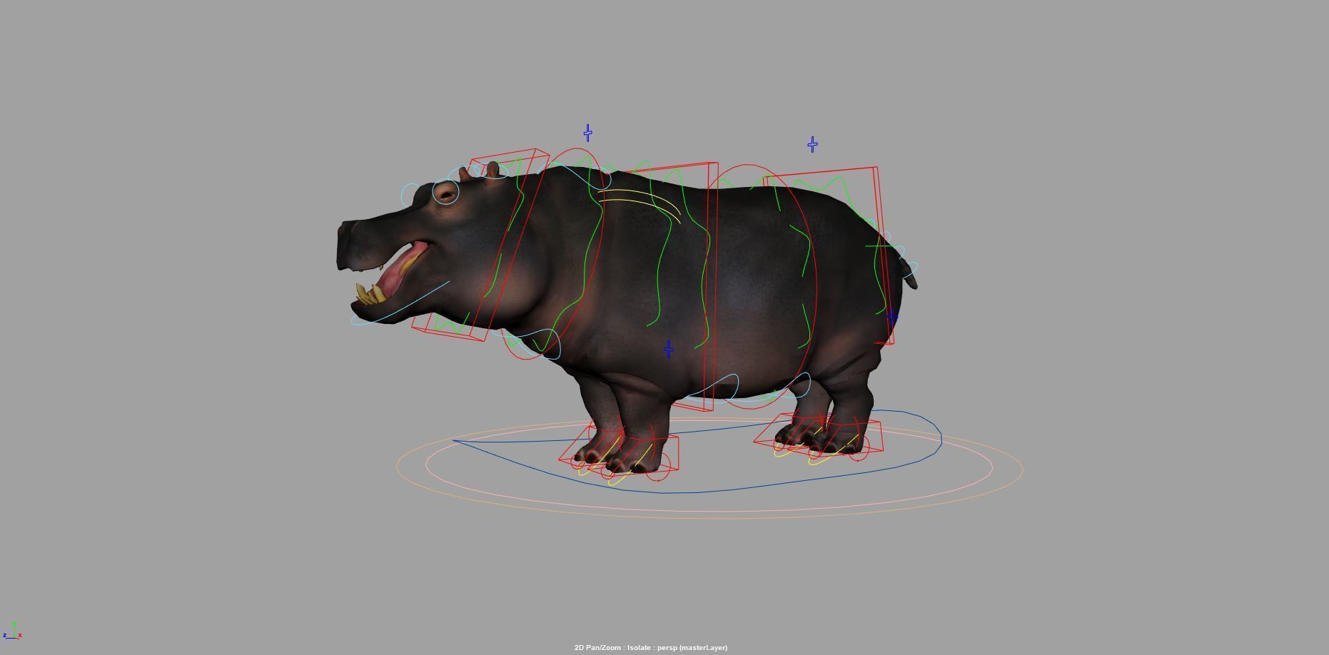 Hippopotamus 3D model_14
