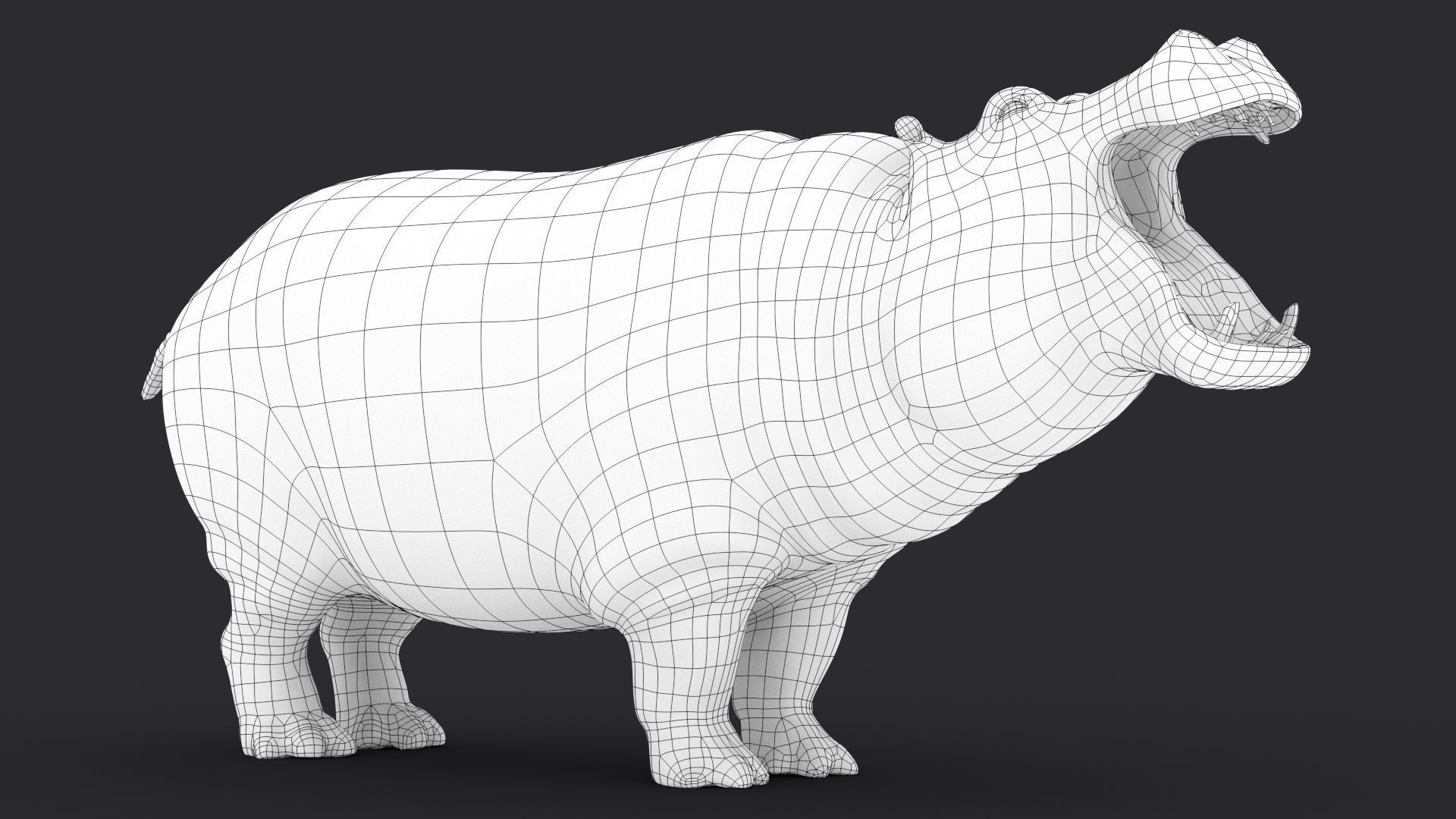 Hippopotamus 3D model_29