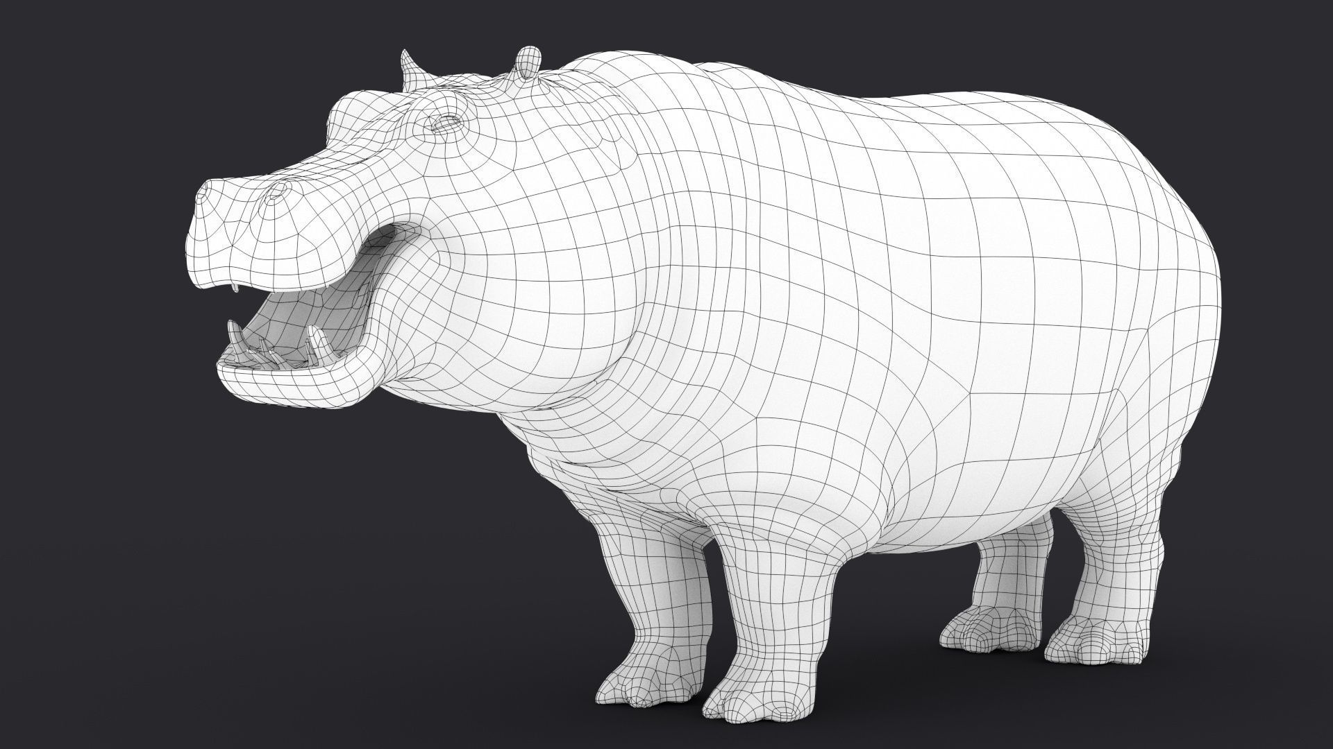 Hippopotamus 3D model_32
