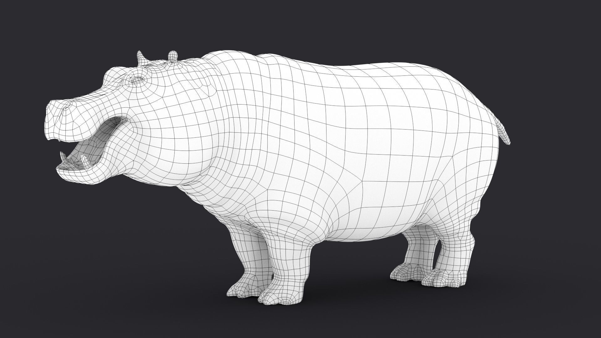 Hippopotamus 3D model_25