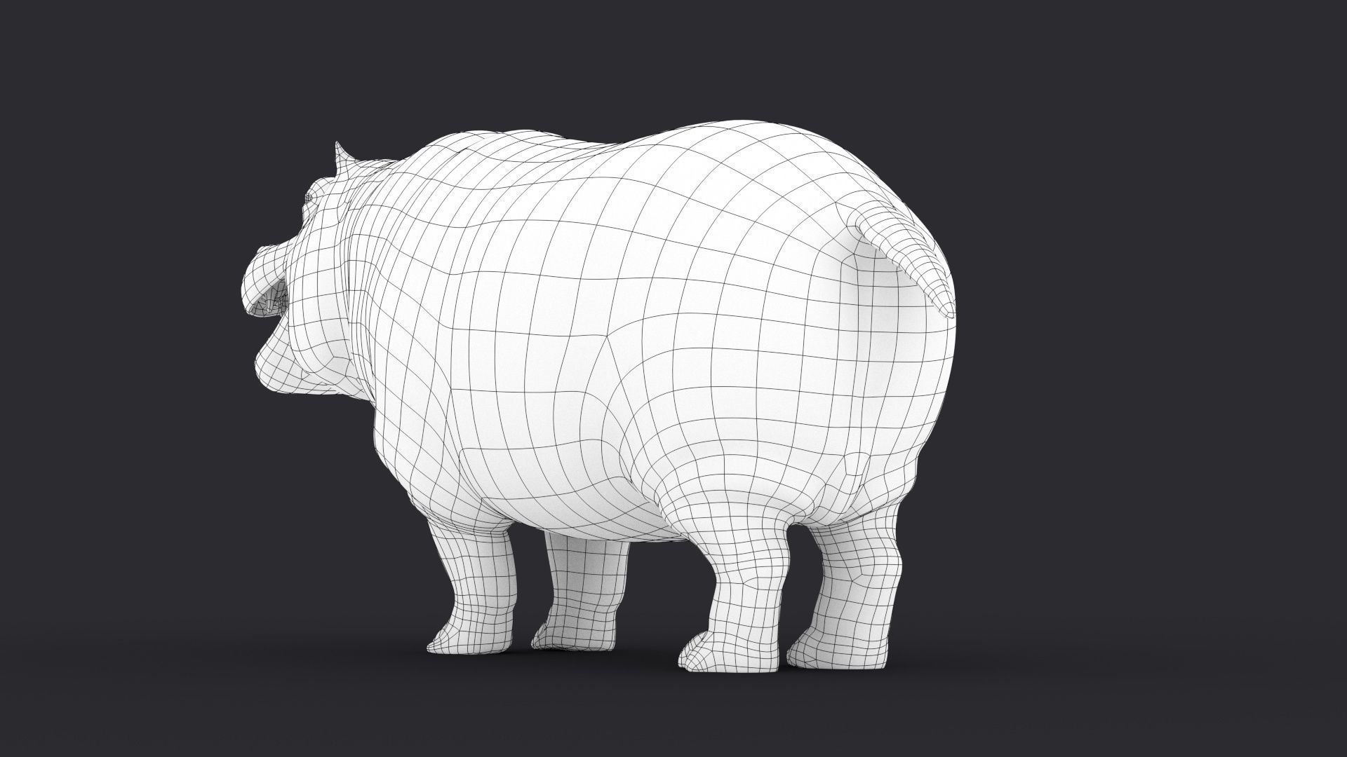Hippopotamus 3D model_24