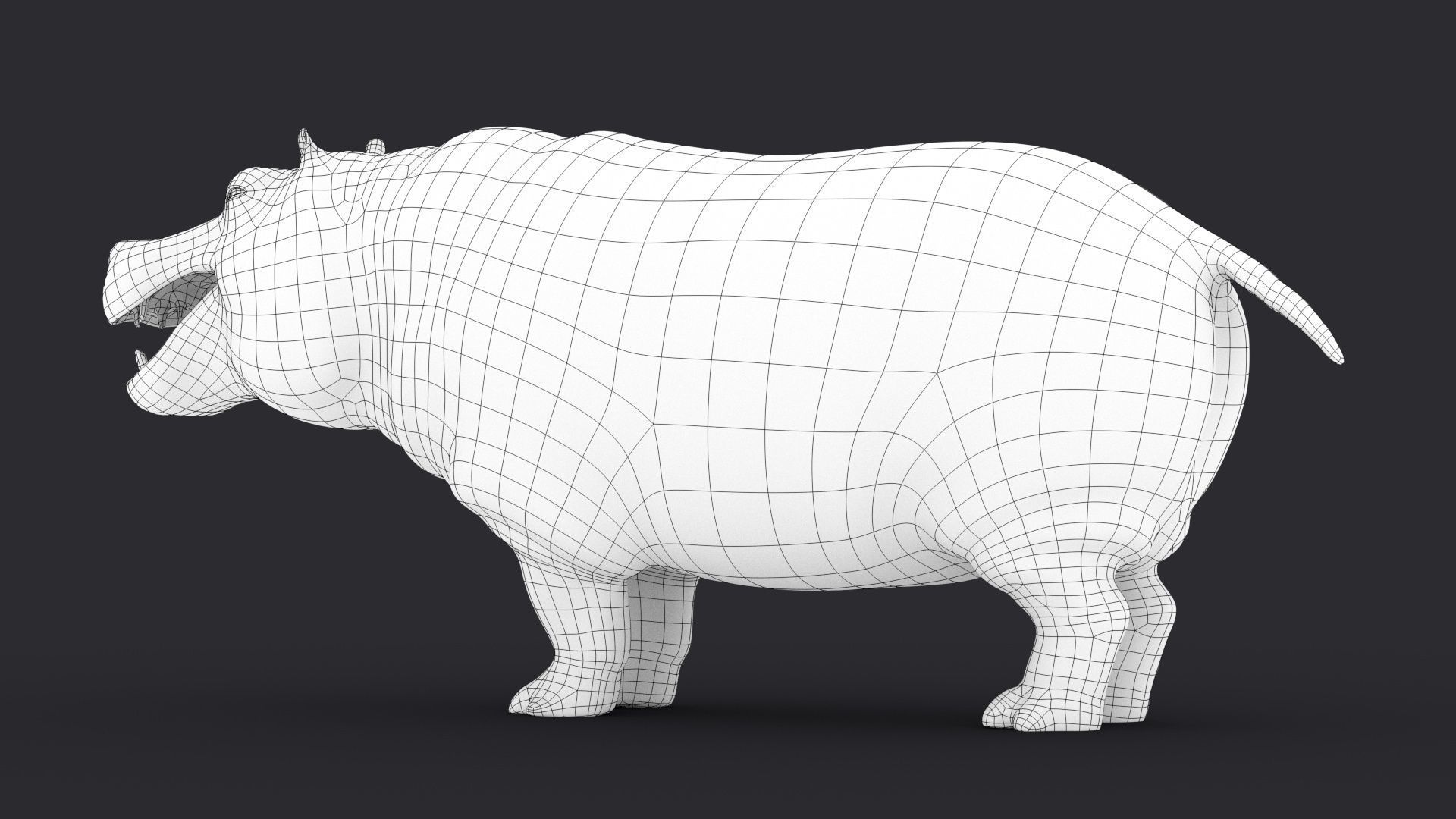 Hippopotamus 3D model_23
