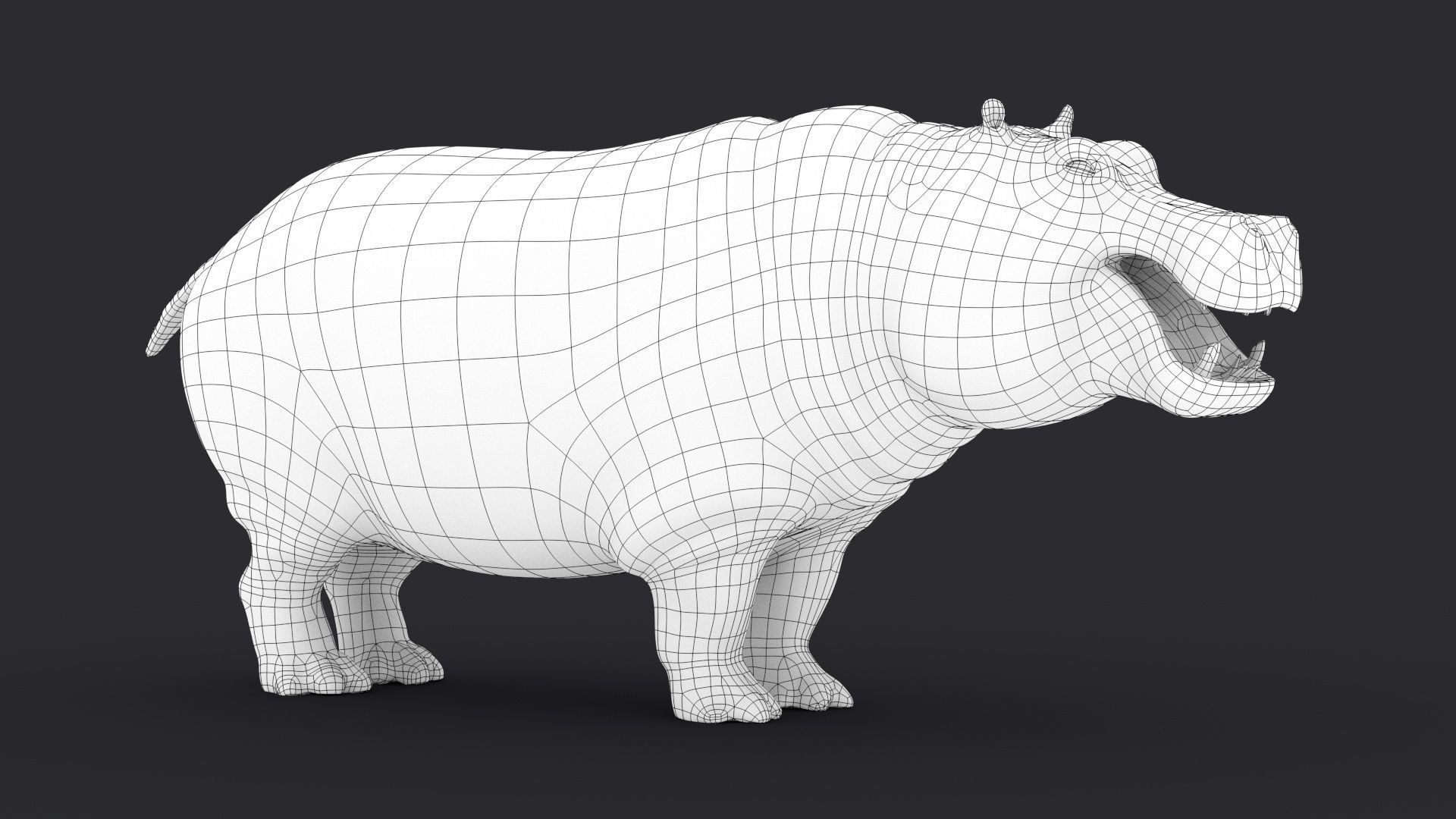 Hippopotamus 3D model_20