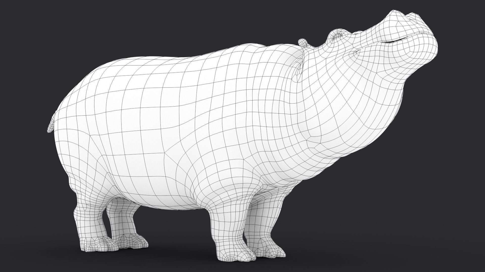 Hippopotamus 3D model_26