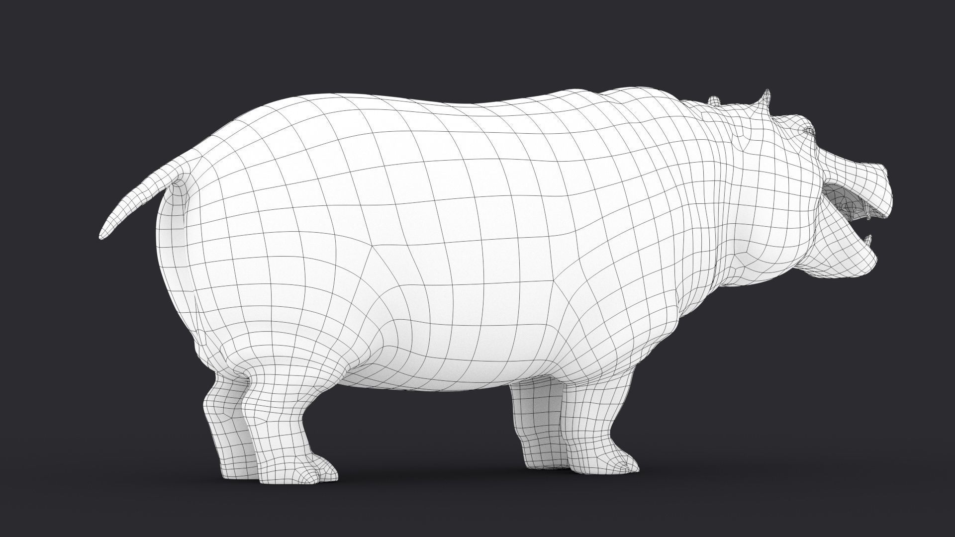Hippopotamus 3D model_18