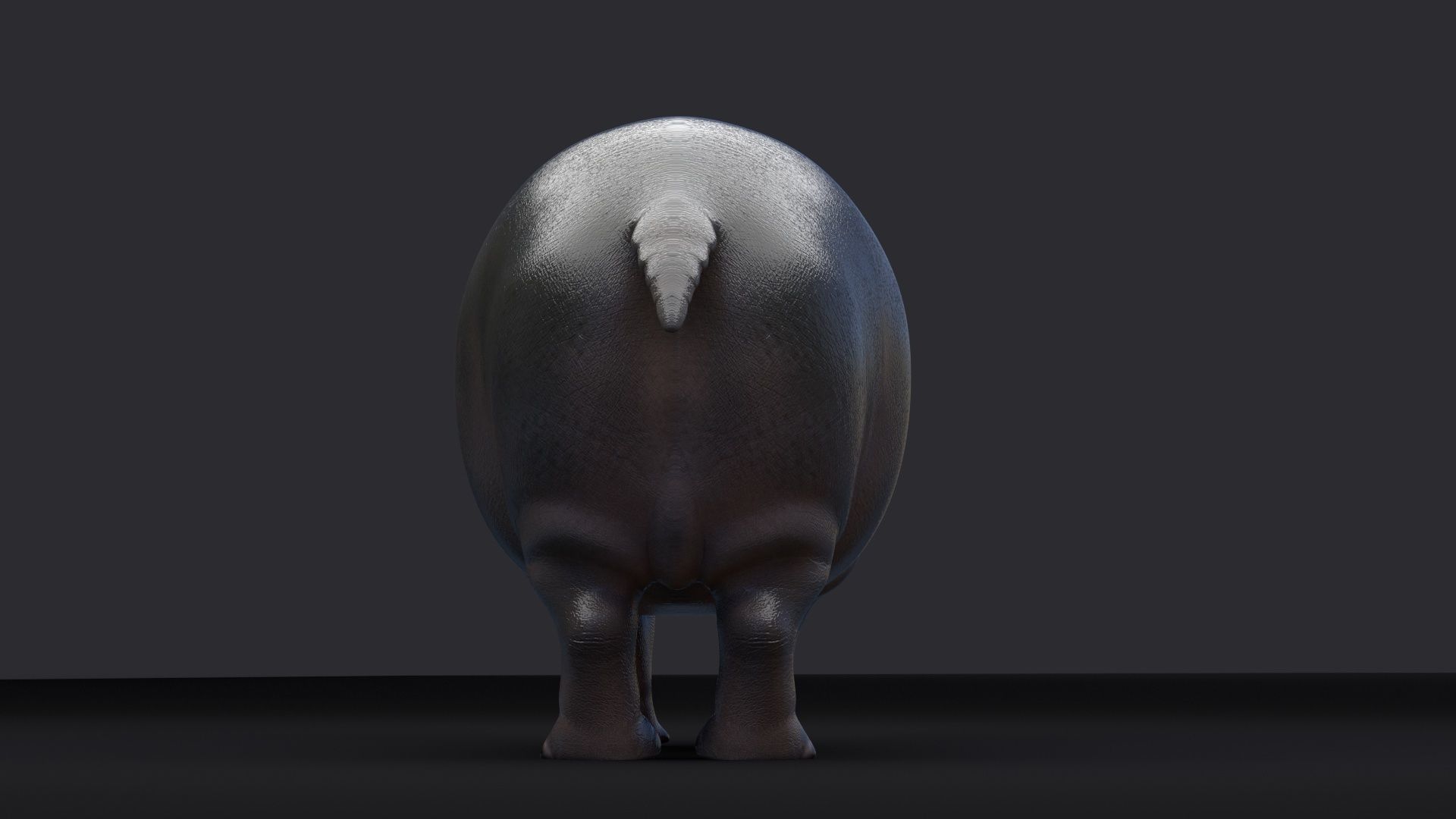 Hippopotamus 3D model_3