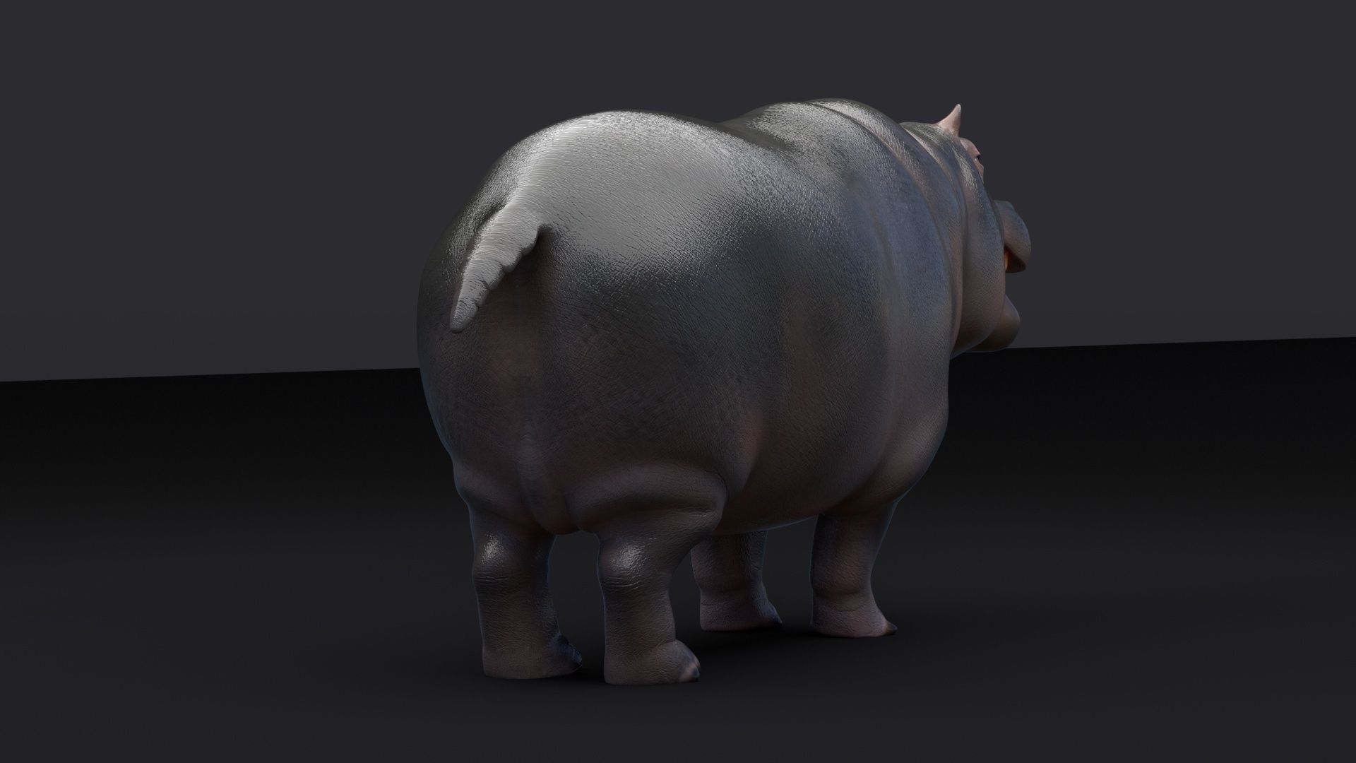 Hippopotamus 3D model_10