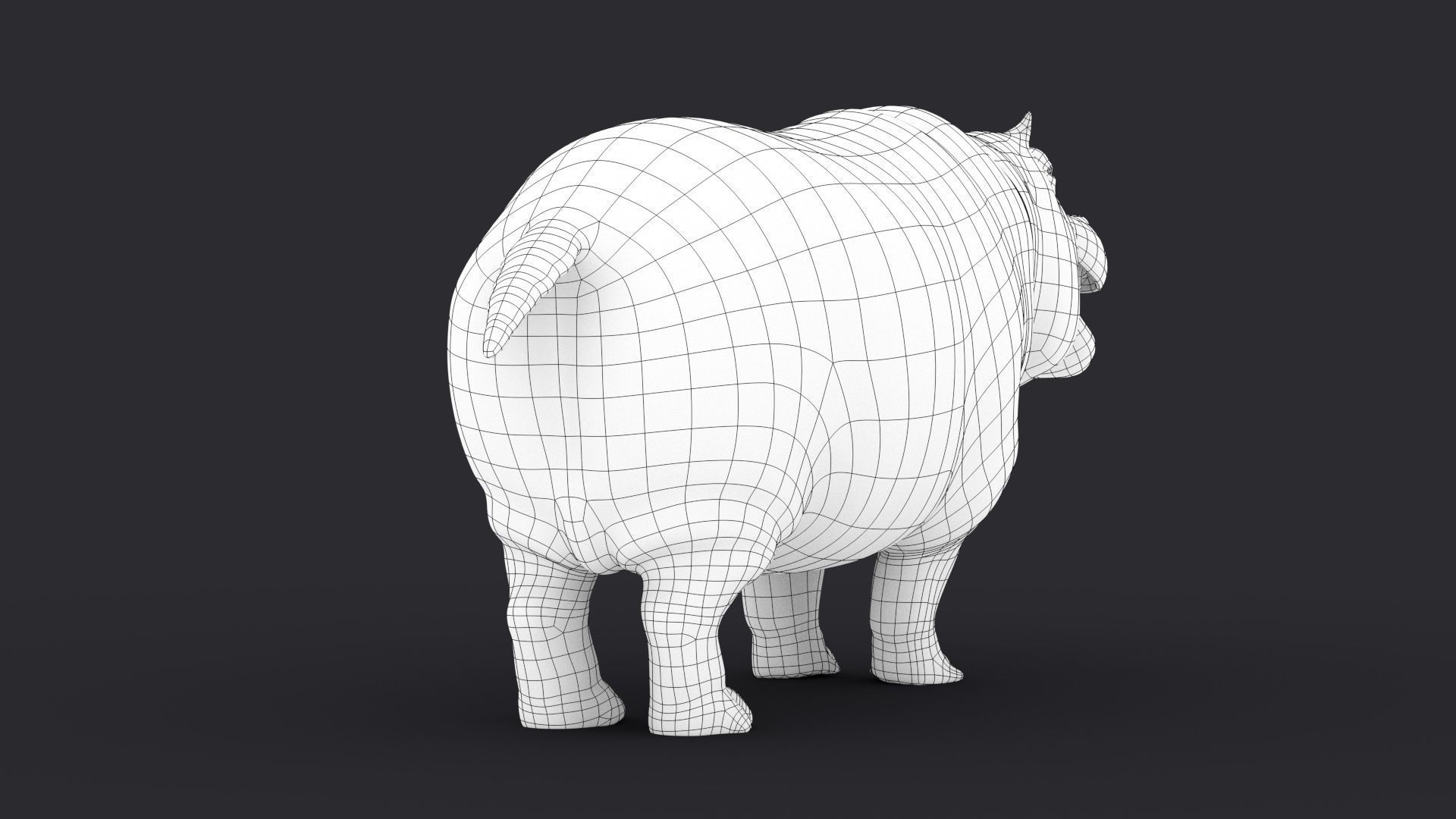 Hippopotamus 3D model_21
