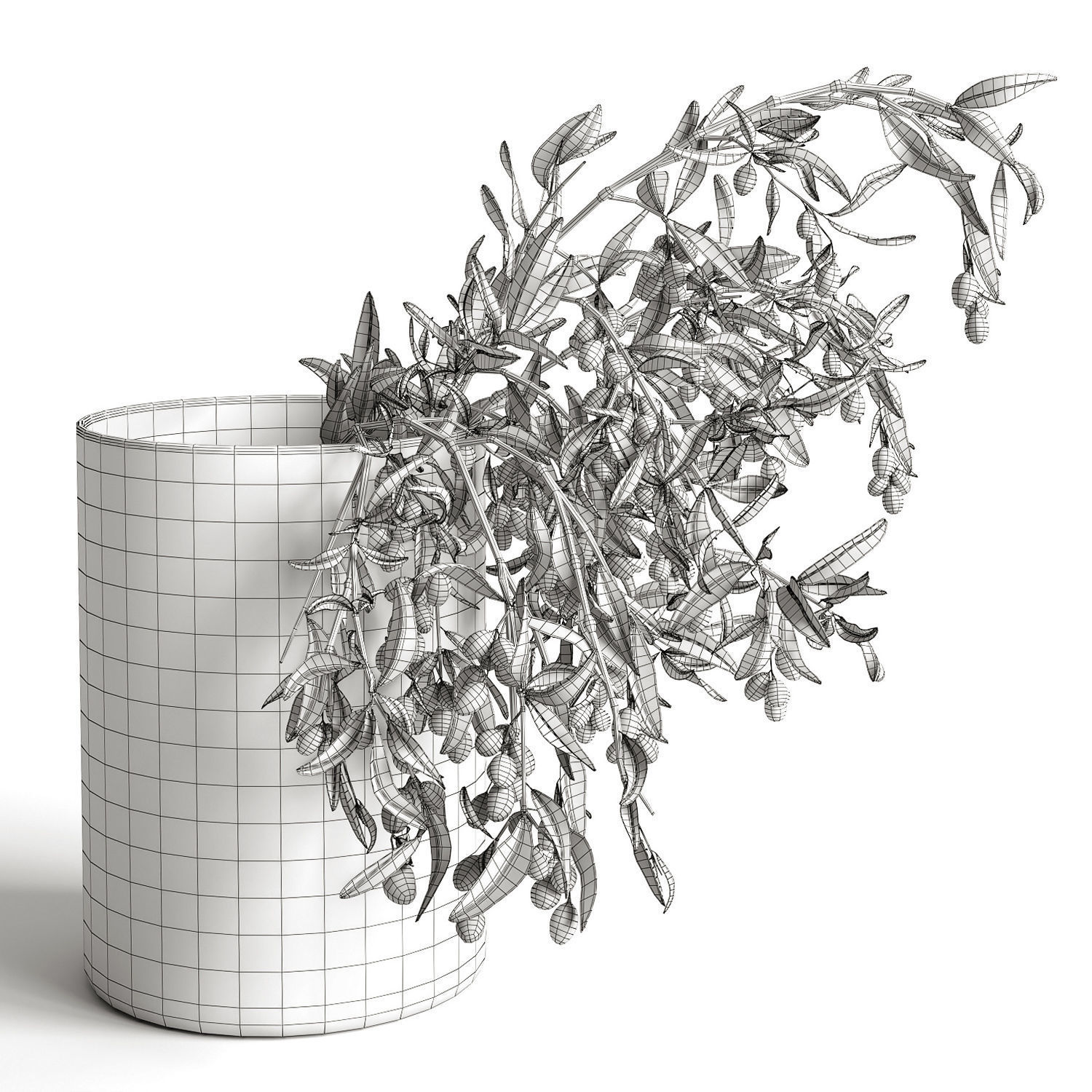 olive garden 3D model_4