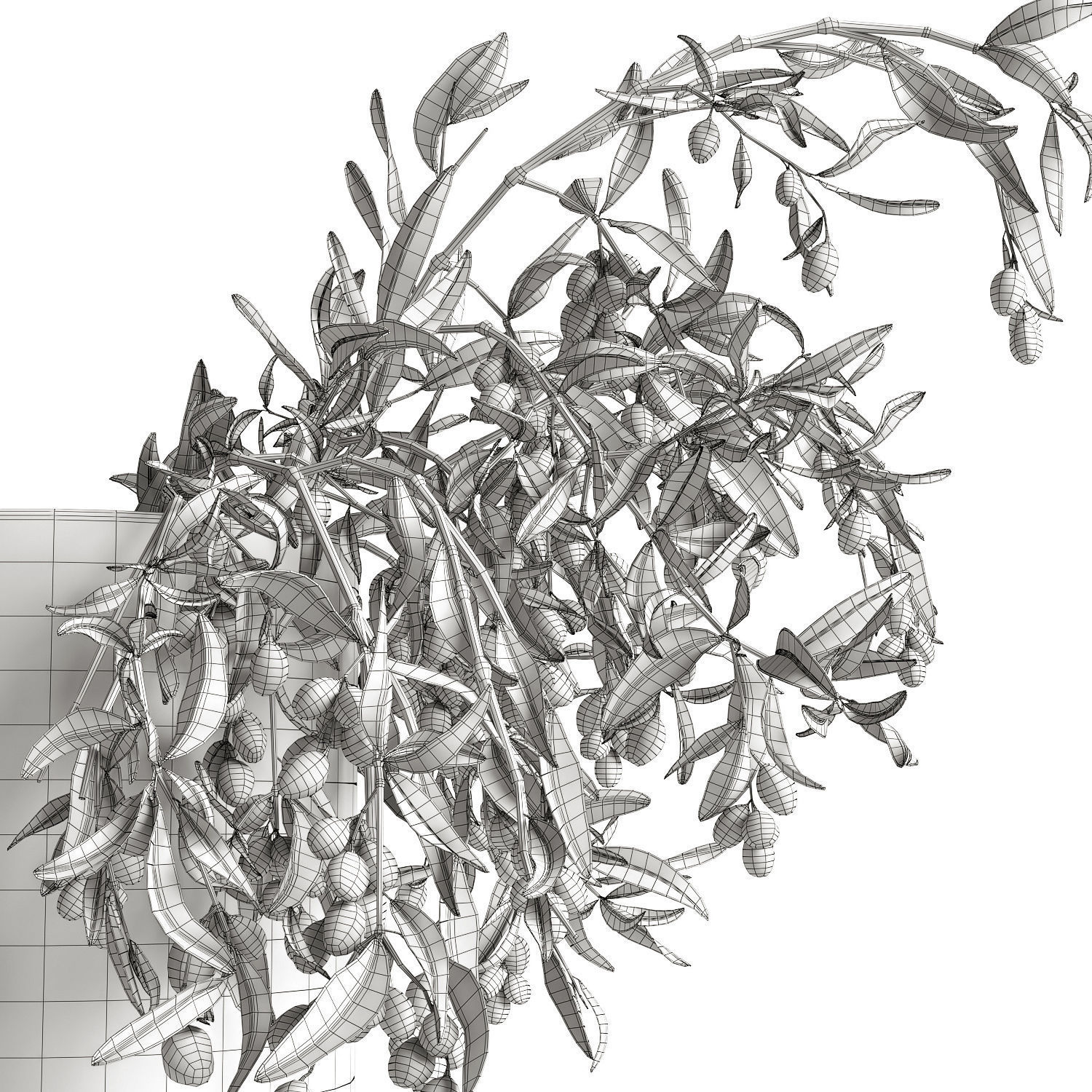 olive garden 3D model_5