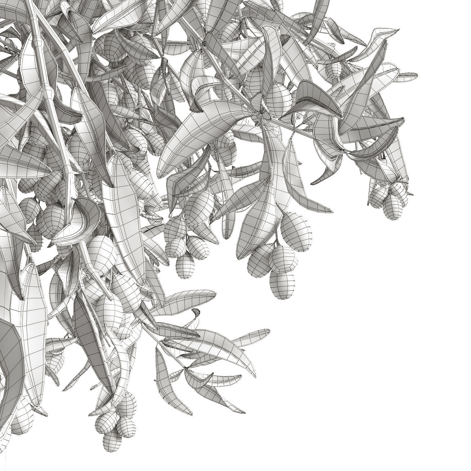 olive garden 3D model_6