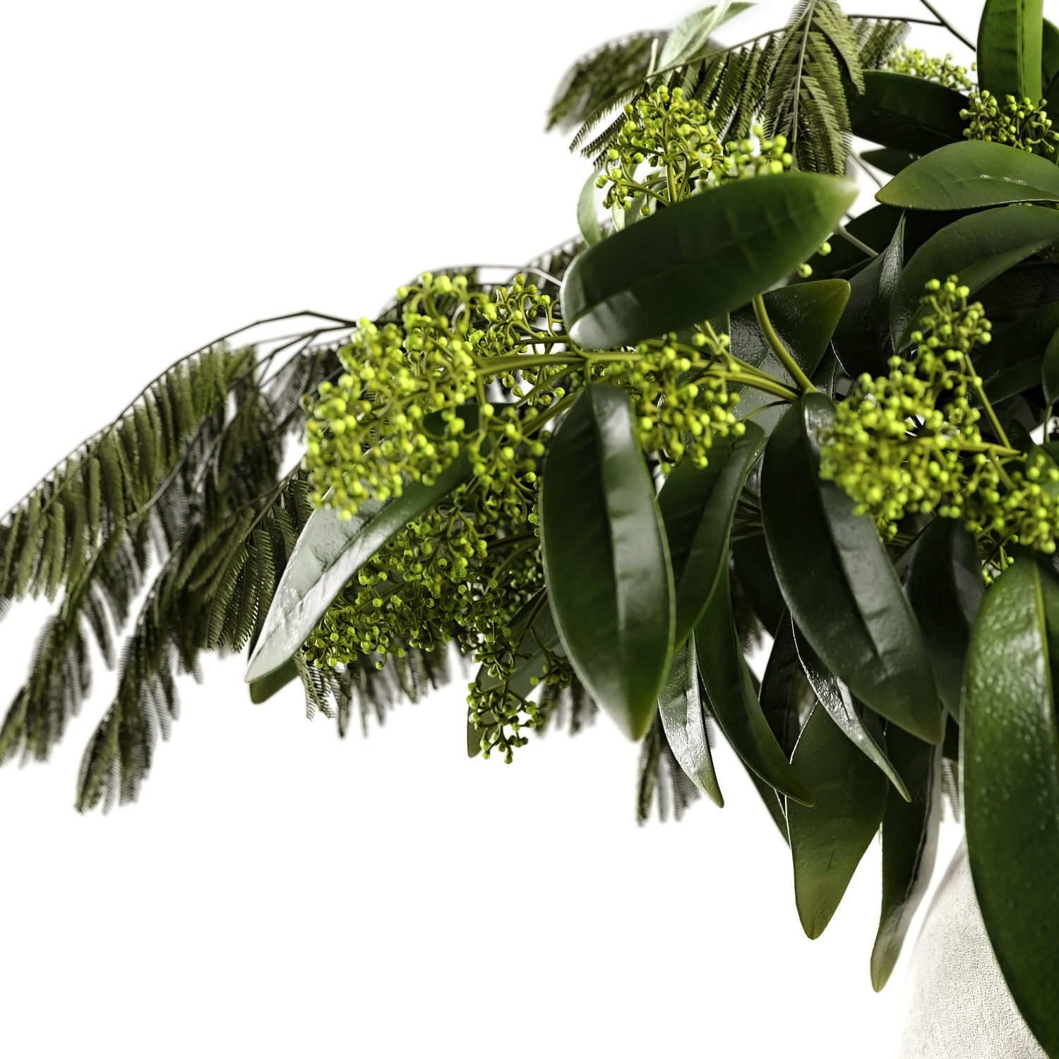 L aroma di Roma 3D model_1