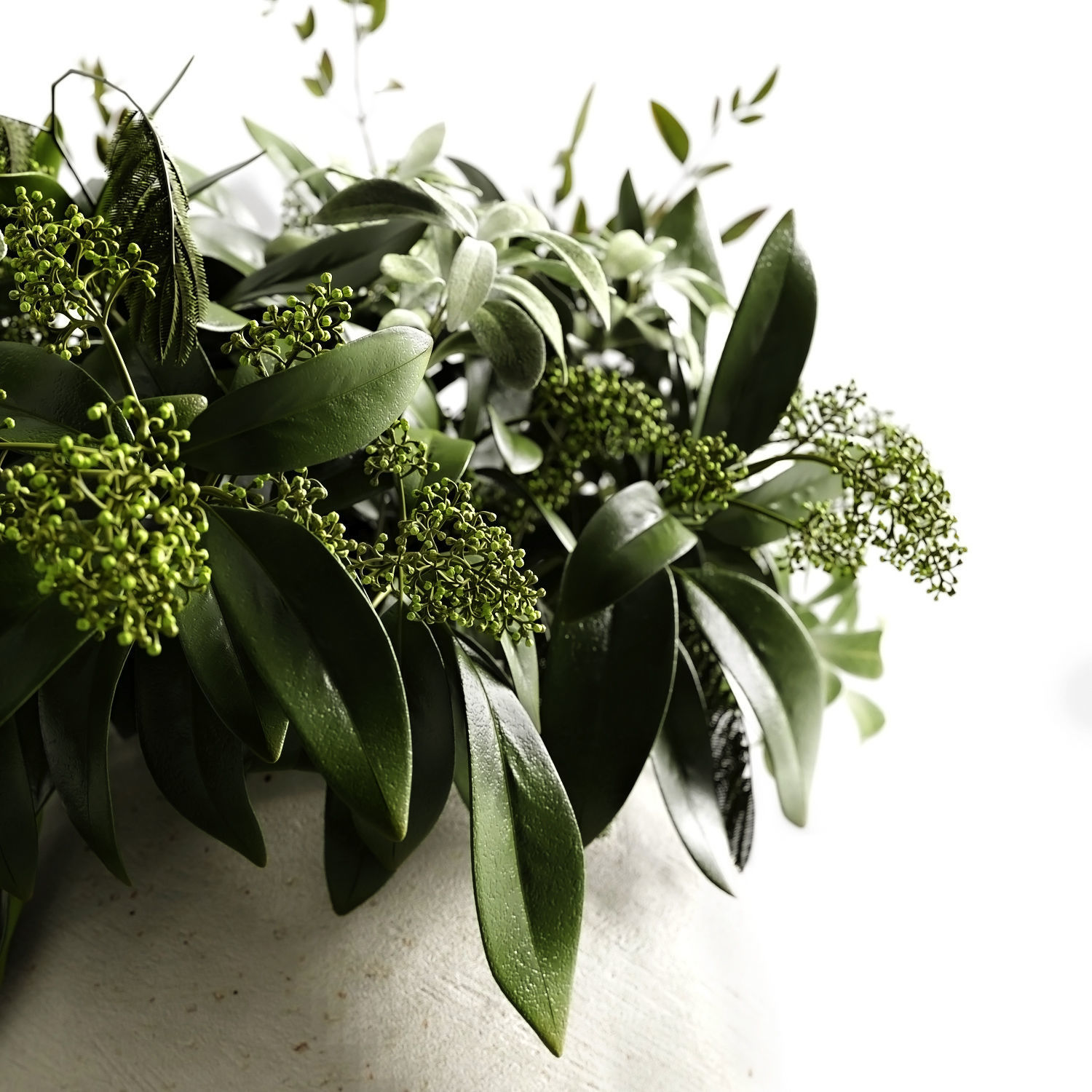 L aroma di Roma 3D model_2