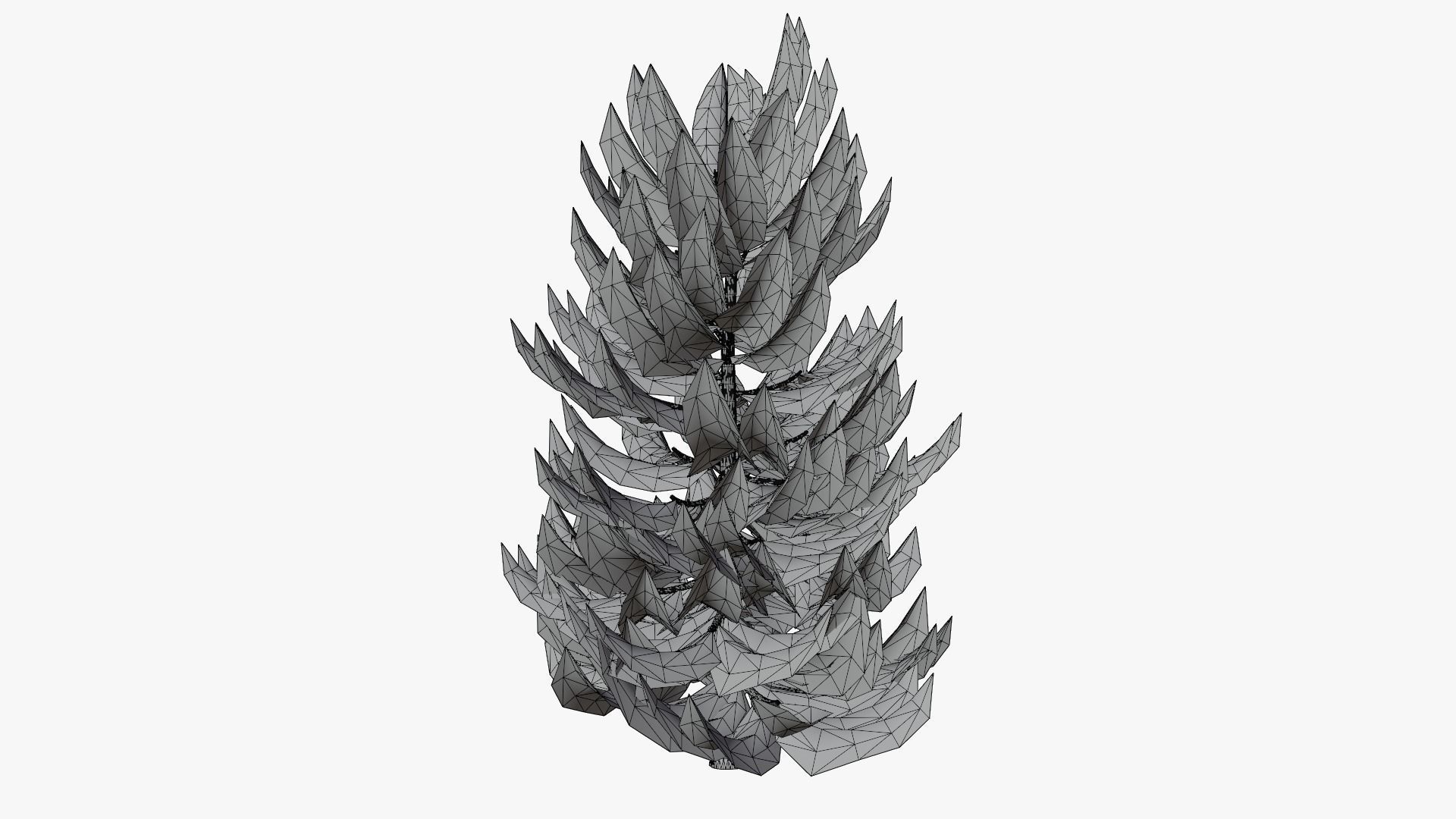 Pine v10 Low-poly 3D model_7