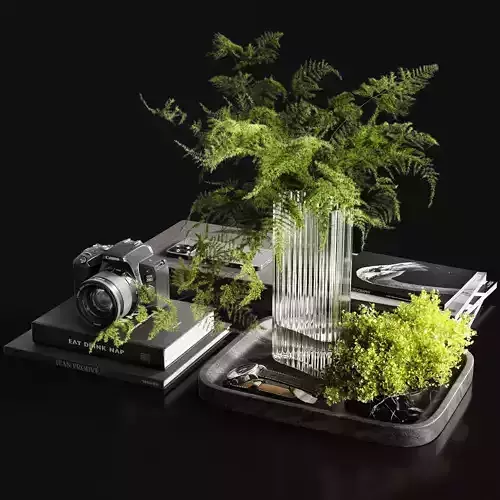 Asparagus 3D model