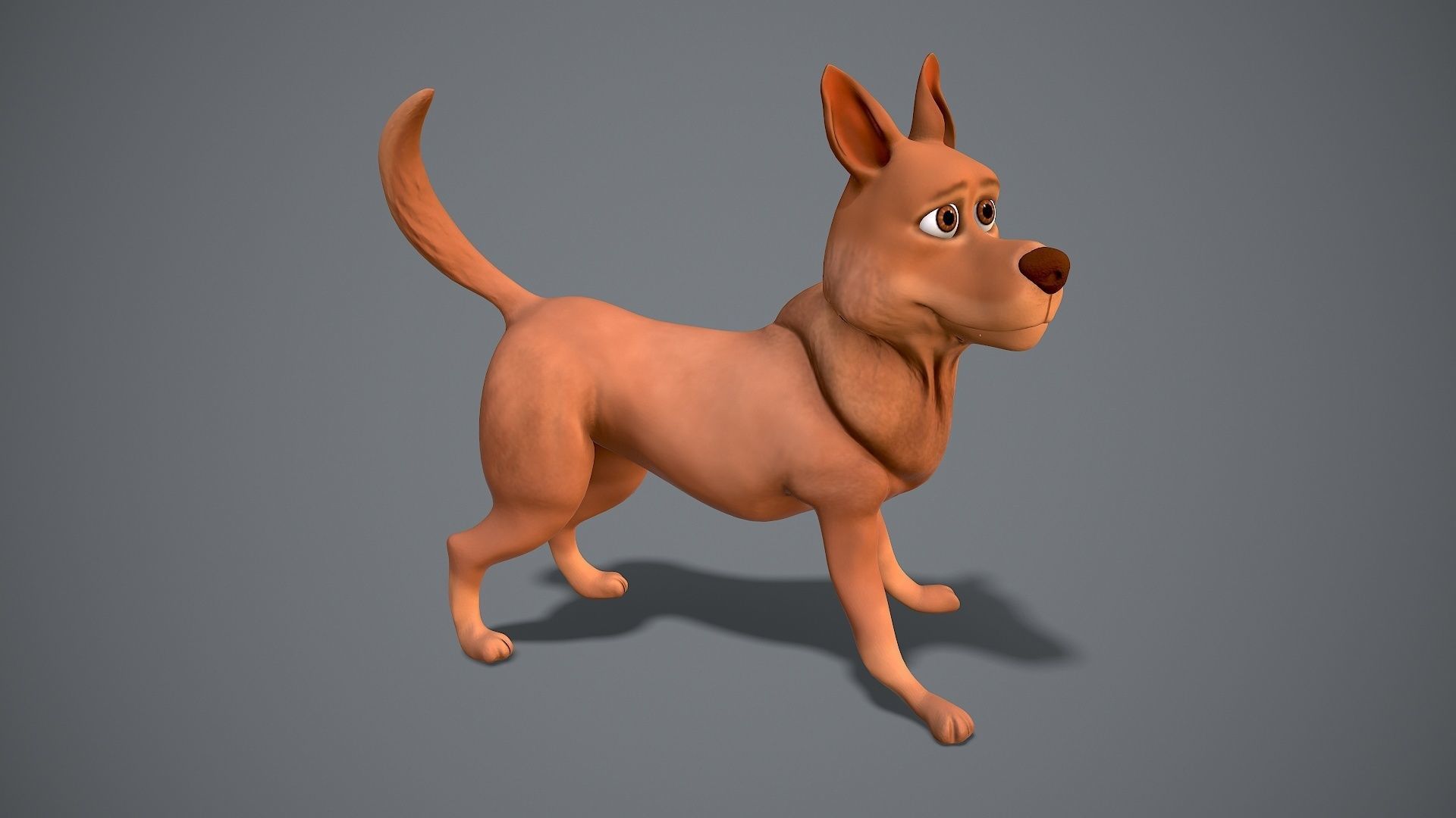 Cartoon Shepard Low-poly 3D model_3