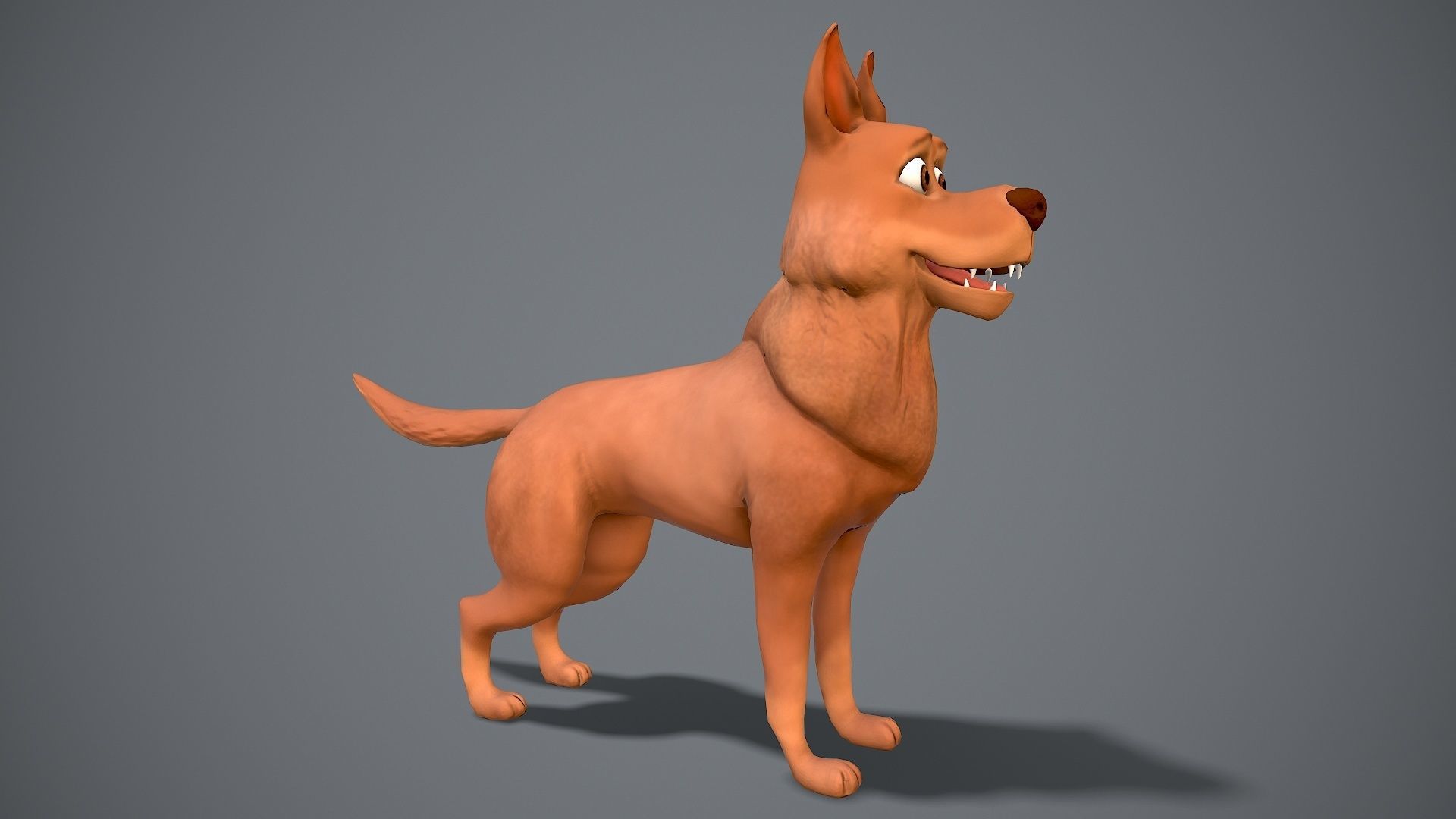 Cartoon Shepard Low-poly 3D model_5