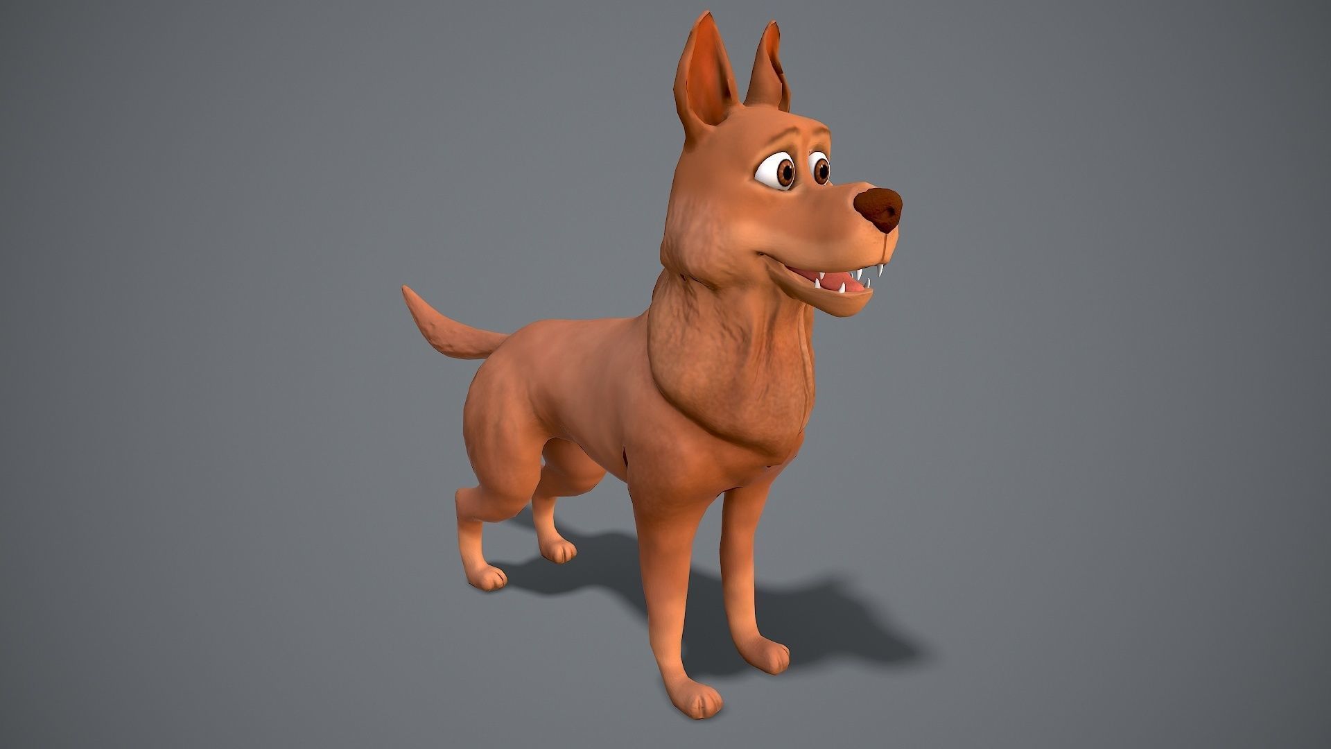 Cartoon Shepard Low-poly 3D model_4