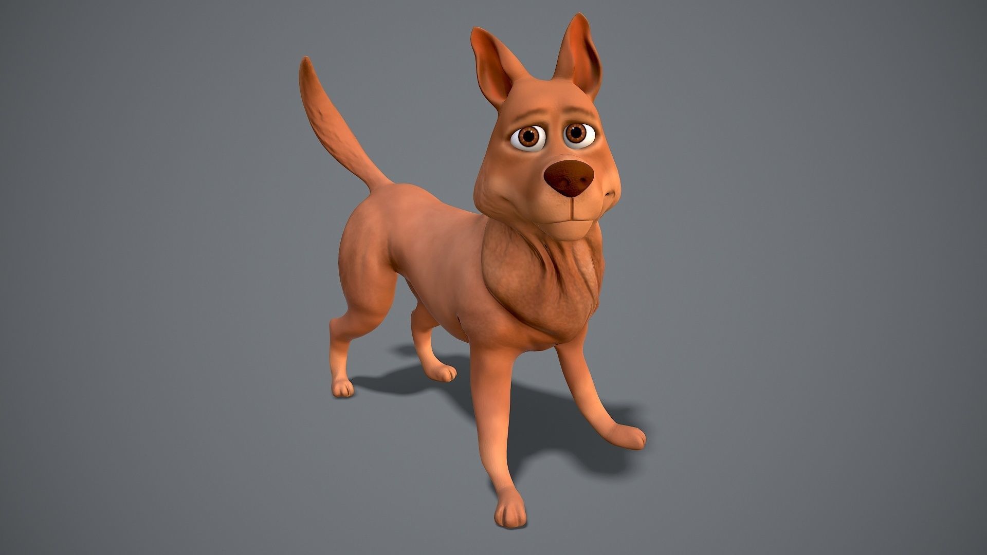 Cartoon Shepard Low-poly 3D model_15