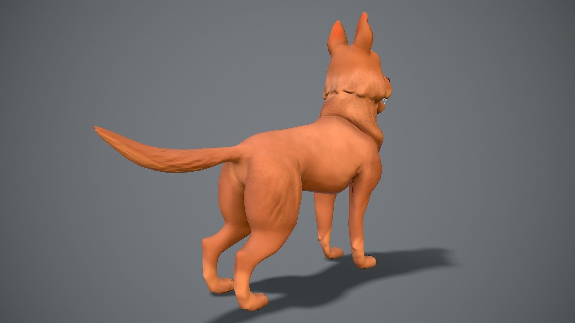 Cartoon Shepard Low-poly 3D model_7