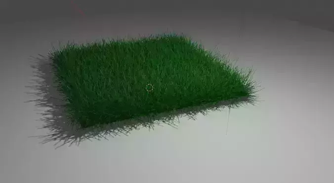 Grass