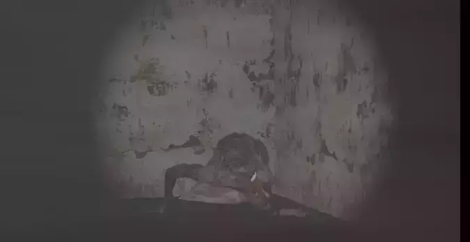 horror sequence camara animation   3D model
