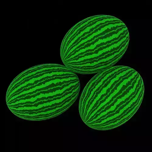 Procedural Watermelon Material