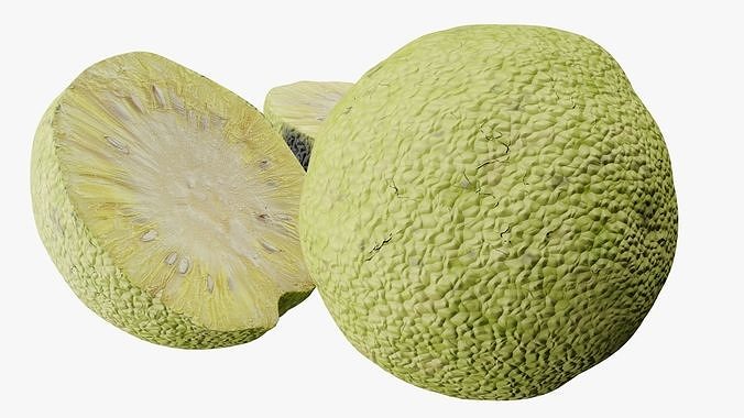 Osage orange 3D model 6