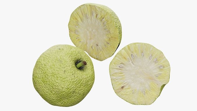 Osage orange 3D model 2