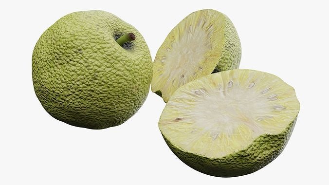 Osage orange 3D model 3