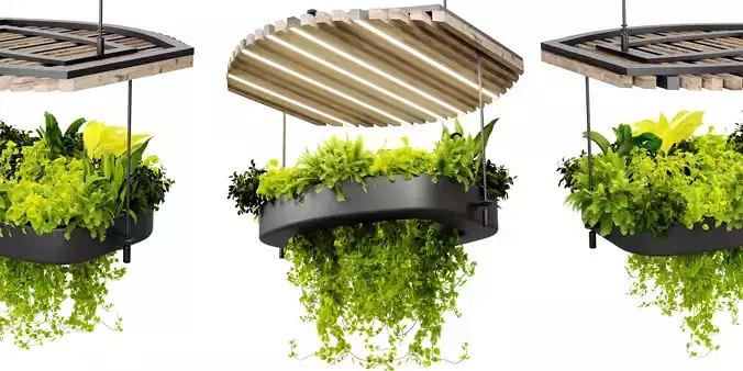 Collection plant vol 540 - blender model 