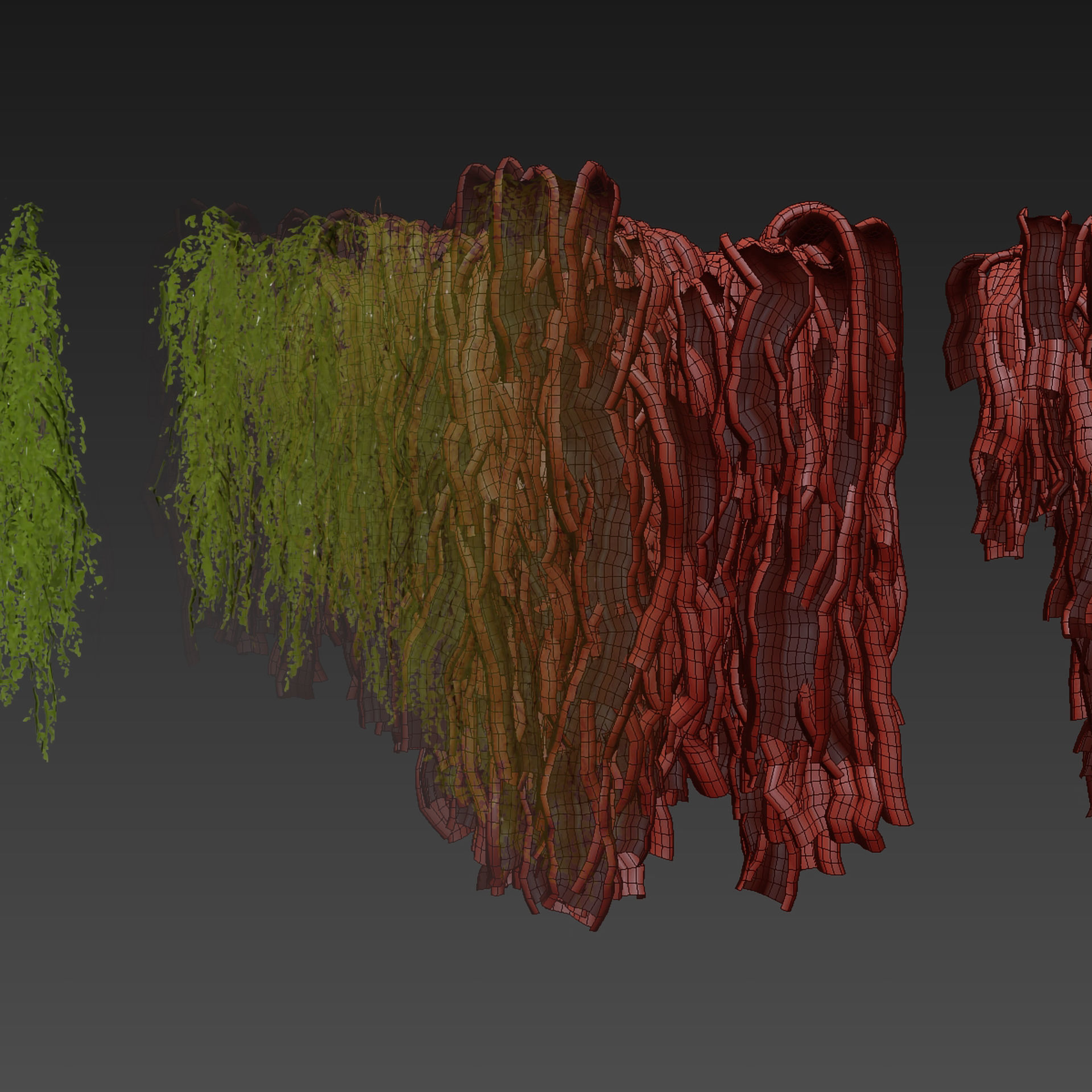 Collection plant vol 541 - bush - Outdoor - ivy 3D model_6