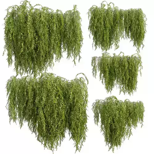 Collection plant vol 541 - bush - Outdoor - ivy 3D model Collection plant vol 541 - bush - Outdoor - ivy 3D model