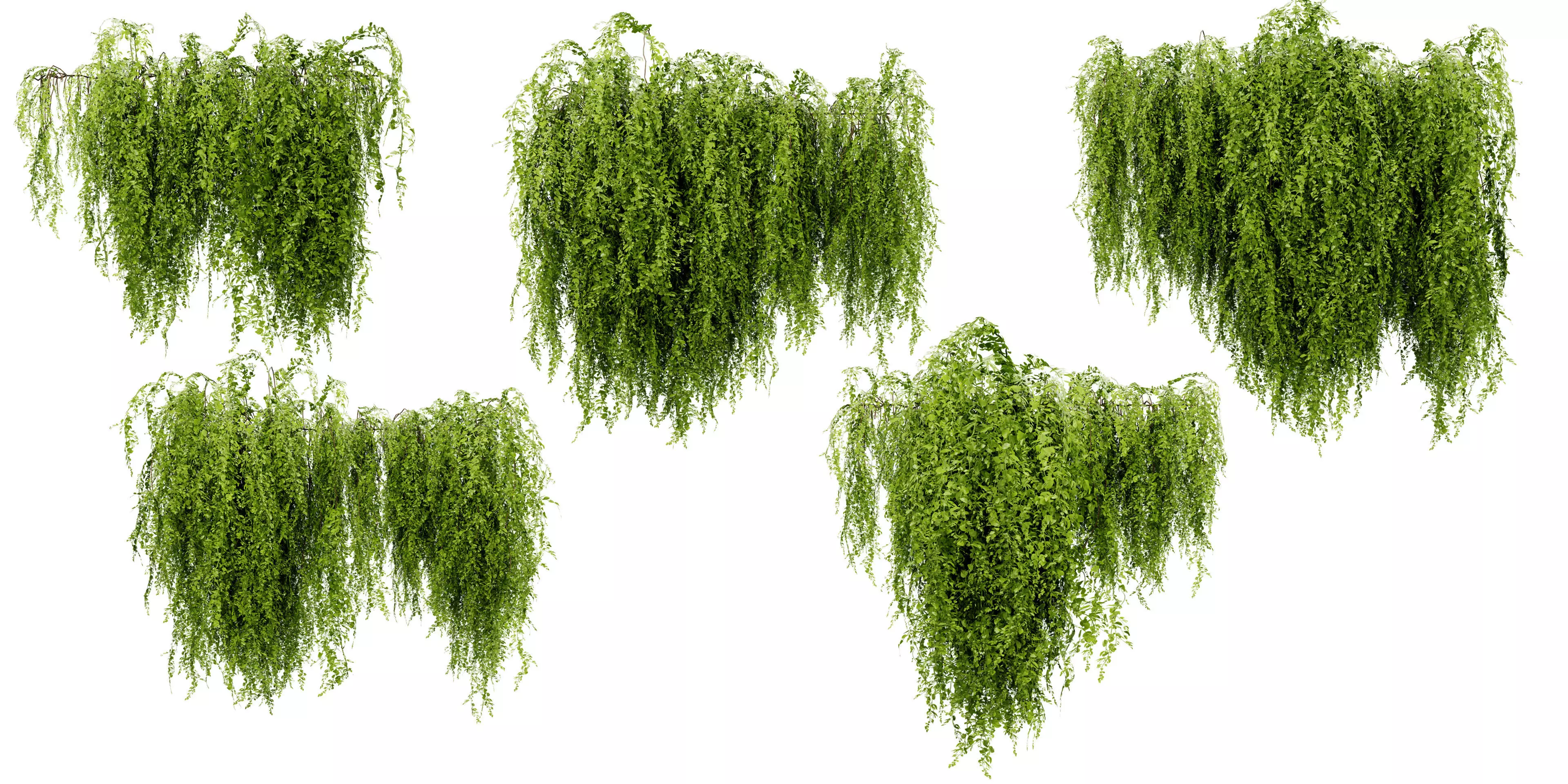 Collection plant vol 541 - blender model 3D model