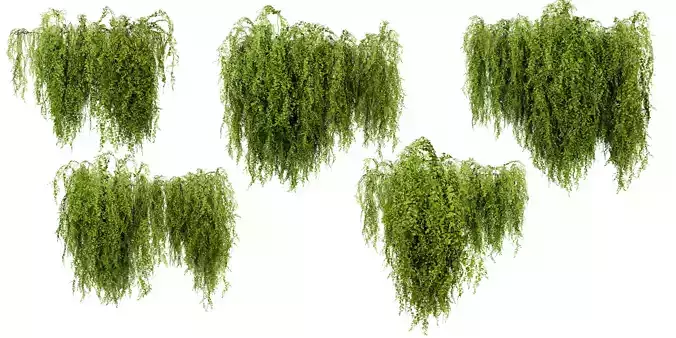 Collection plant vol 541 - blender model 